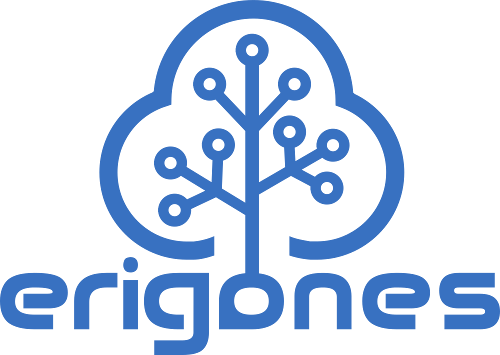 Erigones